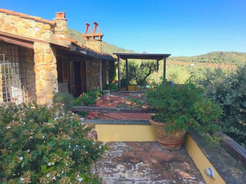 Villa della Fonte is perfect for Ideal Tuscan Holiday