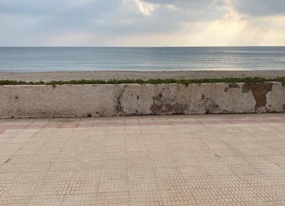 Villa jardín del Mar