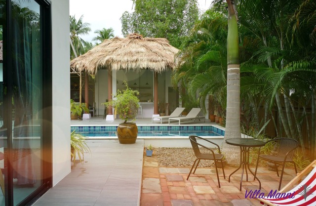 Villa Manni private pool and coconut trees