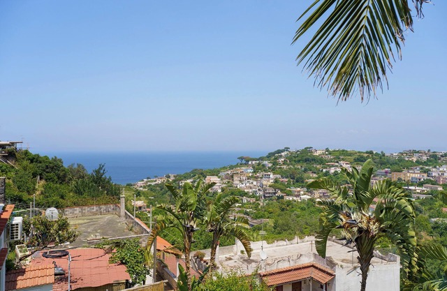 Villa 'Panorama Isola Di Ischia' with Sea View, Wi-Fi and Air Conditioning