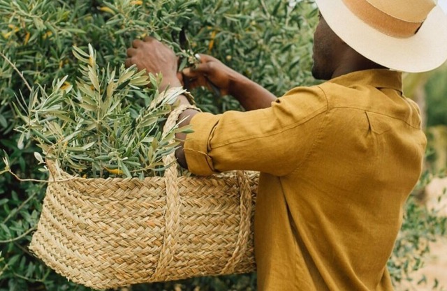 Villa Sabi -A Slice of Timeless Rural Portugal