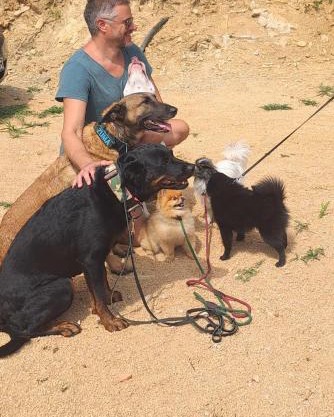 Villa Sortis -unique microclima estate for respiratory rehabilitation