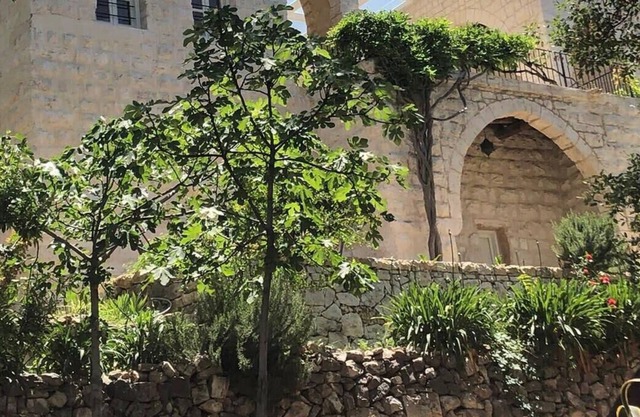 Villa splendide Liban