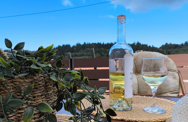 Villa Stone Deluxe Lefkada nis ideal for families or couples at Lefkada.