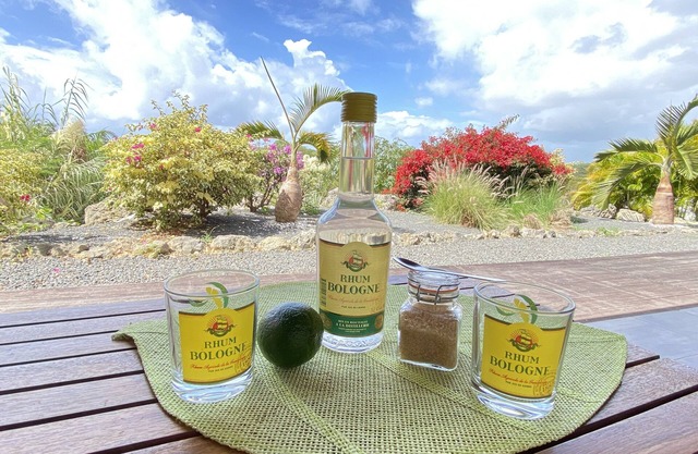 Villa Ti Ma-El, F2 quiet sea view Sainte-Anne