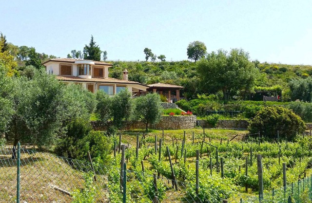 VILLA UVA E STELLE in the quiet of the green hills