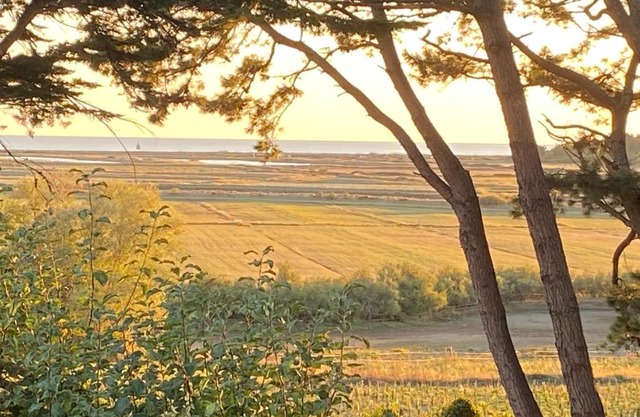 Villa Vieilles Vignes vue mer