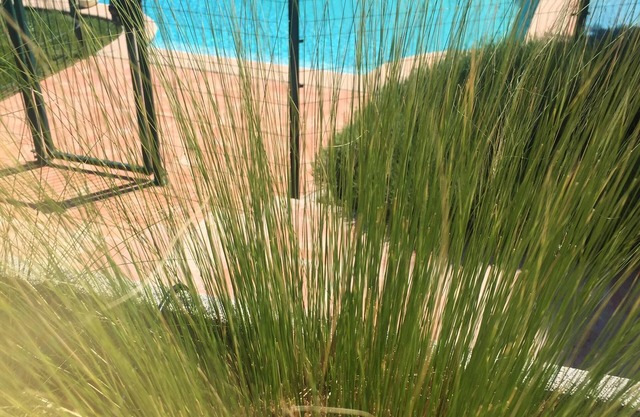 Villa with Pool in a private domain in Valbonne -