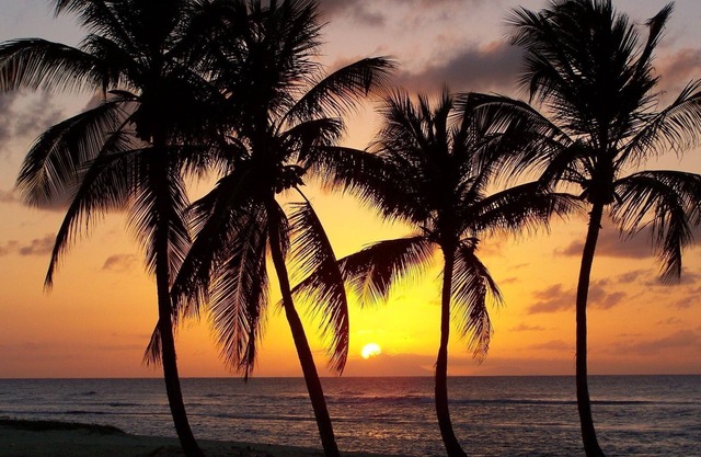 Villa with private pool in Port Blanc Gosier Guadeloupe