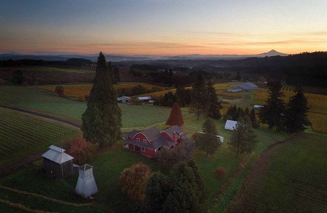Vineyard Farmhouse Stay with Mt. Hood Views. Spacious and Ideal for Large Groups