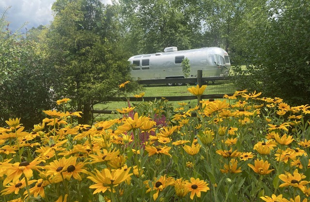 Vintage Airstream “Lost inn Lavender”