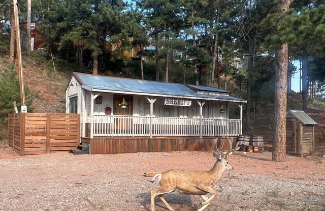 Vintage Sheriff Tiny Cabin - HOT TUB!