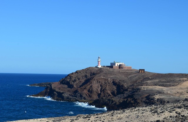 Violet Arinaga Housing