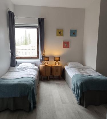 Walhalla Retro apartment