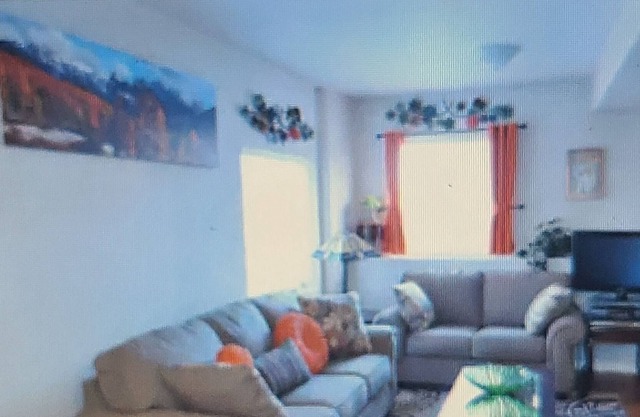 walkout basement incl 1 car garage,Close to DIA,easy Access to HWY I70,I225,&I25