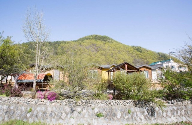 Wanju Cypress Forest Story Pension