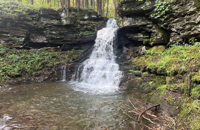 Waterfall View from Secluded 4 Bed Cabin in East Branch, NY with Mountain Views