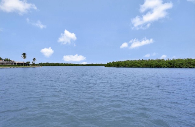 Waterfront home on key lot w/pool/view of river