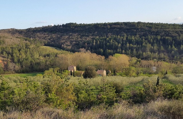 Welcome to Domaine de Castillou