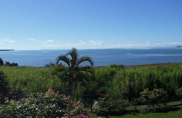 Welcome to the paradise of Do!