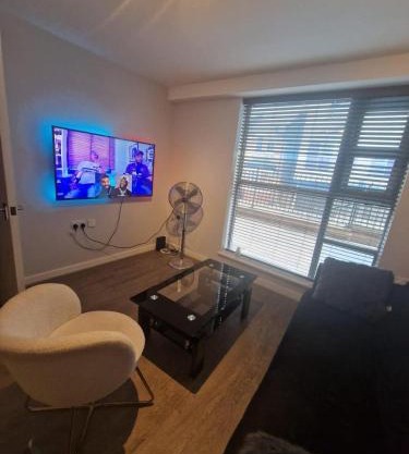 Wembley luxurious apartment