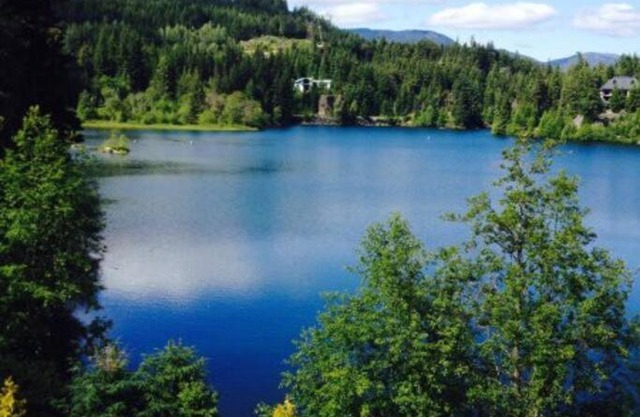 Whistler Studio by Gondola & Free Parking