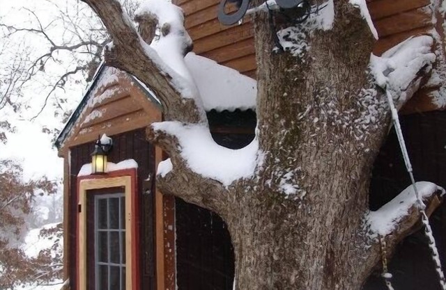 White Oak Tree House by Garden of the Gods in the Shawnee National Forest