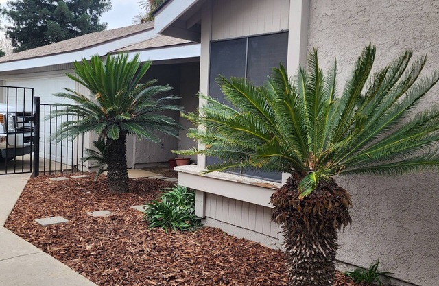 Whole Home- 3 Bedroom - 2 Bath- Quiet neighborhood with secure courtyard