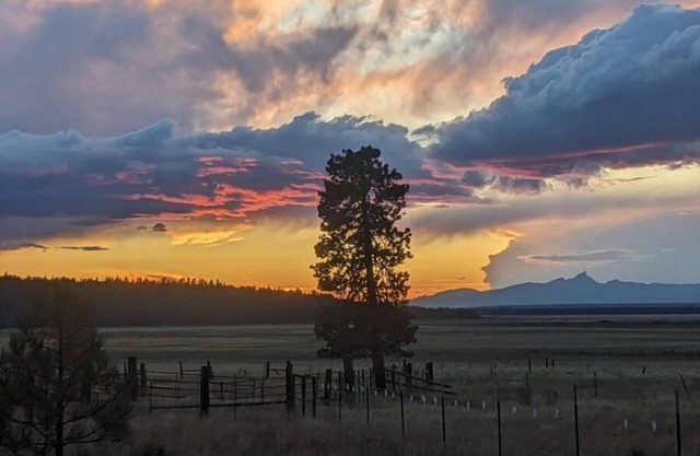 Williamson River Ranch Fishing Eclipse Exclusive Views Book Reading