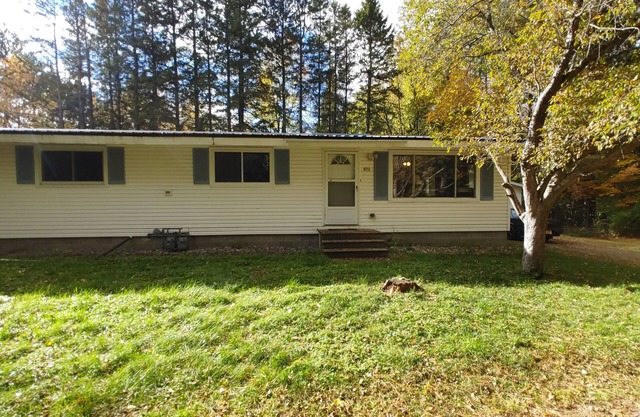 Wintergreen Pelican River Retreat #1 nnTownhomenNo cleaning Fee