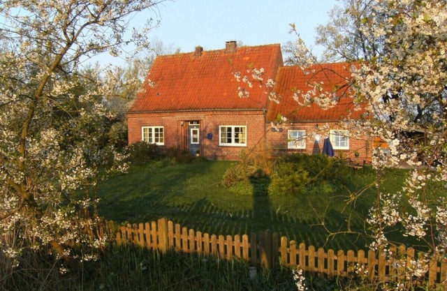 Wonderful cottage with nature garden and fireplace, near ocean