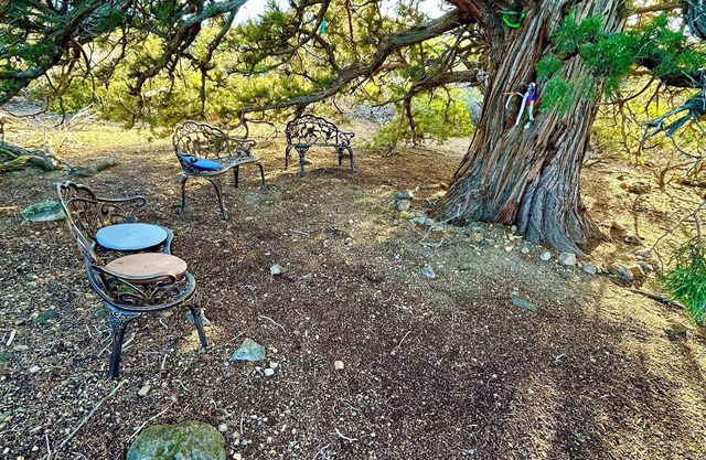 Wonderland Retreat House at the Base of Mount Shasta