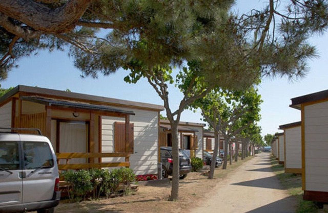Wooden chalet with a nice covered terrace, near the beach