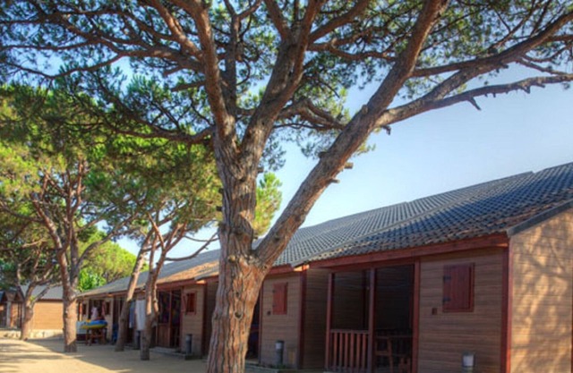 Wooden chalet with a nice covered terrace, near the beach