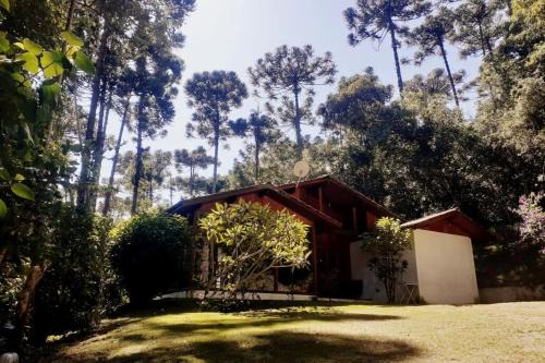 Wooden House