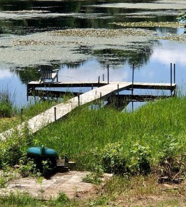 Woodsy and Private- Rustic Cabin