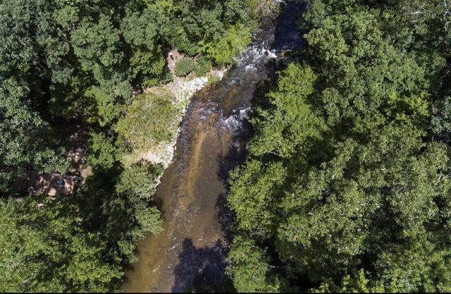 Young Cane Creek Retreat Private Lower Suite w/NO CLEANING FEE and Pet Friendly