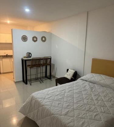 Zaida monoambiente