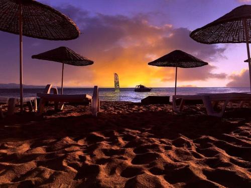 Armutlu Resort | Çiçek Evler Tatil Köyü