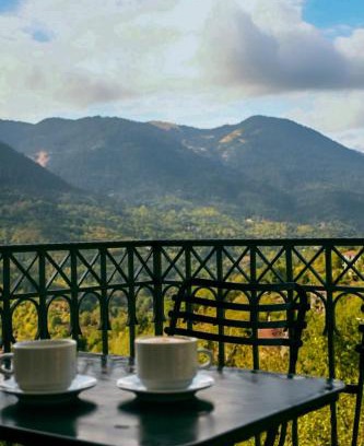 Megalo Chorio Apartment | Αρχοντικό