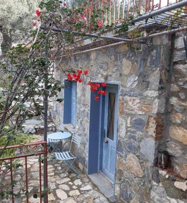 Plomari House | Δωμάτια Κόκκινος Πύργος