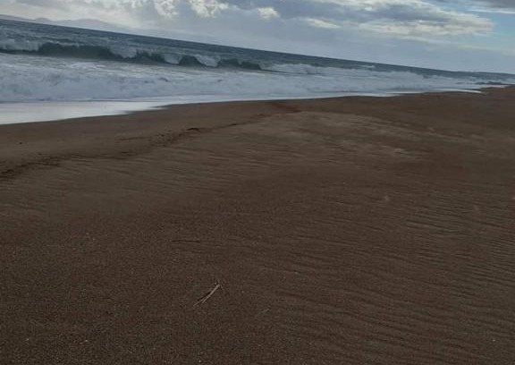 Pineios Apartment | κατοικία