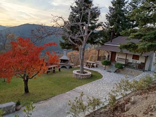 Synikia Mesi Trikalon House | Ξενώνας Το Πατρικό