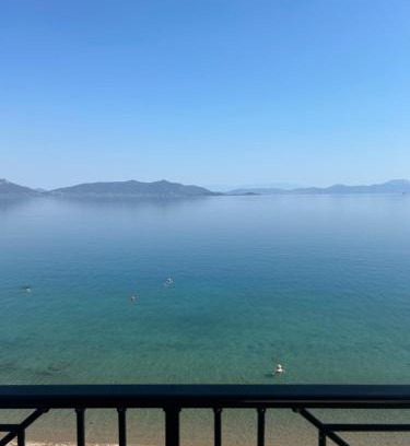 Imathia Region Hotel | Το ροδον