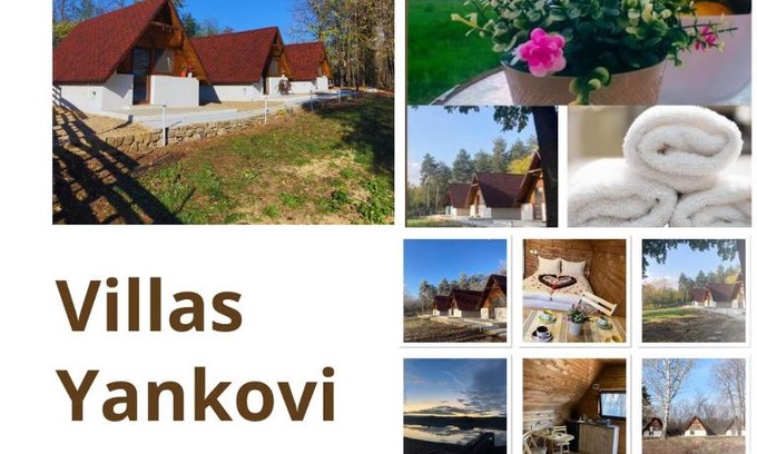 Lyaskovets House | Вили Янкови