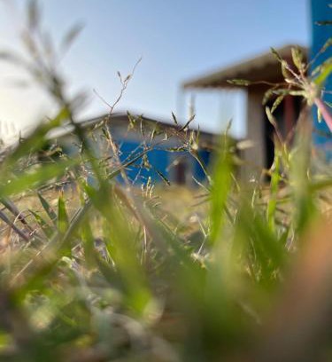 Abha Ski Chalet | استراحة ديم