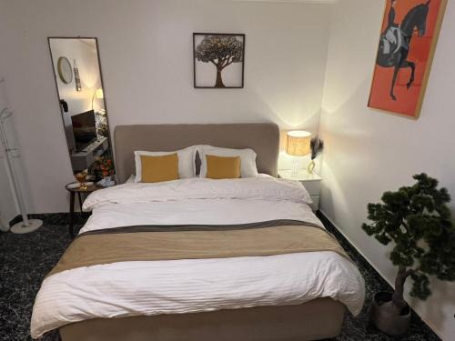 Shaqra Apartment | اســتديو فـــخمة