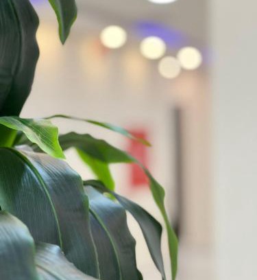 Al Kharj Apartment | مواجد Mawajid