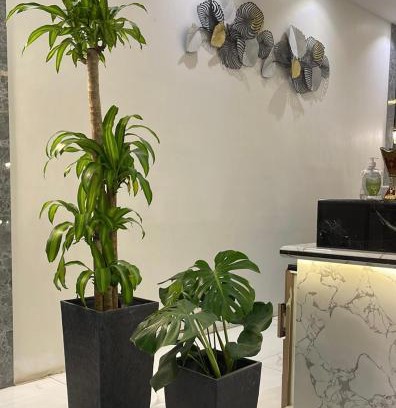 Al Duwadimi Apartment | نوفل للشقق المخدومة