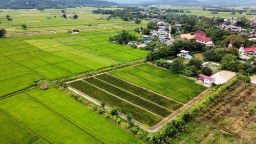 Chiang Khong House | ณ บ้านนอก Organic Farmstay